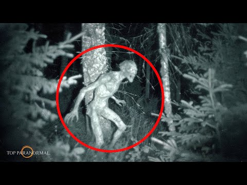 5 Encuentros Más Aterradores Captados en Cámara Parte 8 / Fantasmas y Criaturas / TERROR REAL 2025