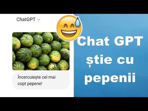 AI-ul găsește pepenii copți și medicamente ieftine