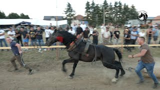- CIGA OD GRBOVIĆA ŠAMPION SAMACA NA PEŠTERU -