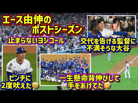 最高‼️由伸圧巻の投球に止まらないヨシコール🤩記念撮影は1番後ろで背伸び😆 【現地映像】10/1vsレッズShoheiOhtani