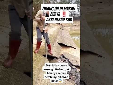#fyp aksi nekad, nyaris dimakan buaya ‼️