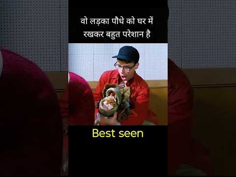 वो लड़का पौधे को घर में रख के बहुत परेशान है #shorts #video