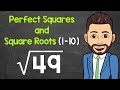 Exploring Perfect Squares and Square Roots