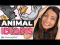 Mastering English Animal Idioms