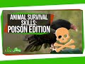 Understanding Animal Gag and Vomit Reflexes