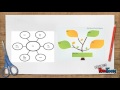 Understanding Graphic Organizers in Education