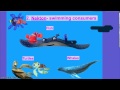 Marine Ecosystem Concepts and Organisms