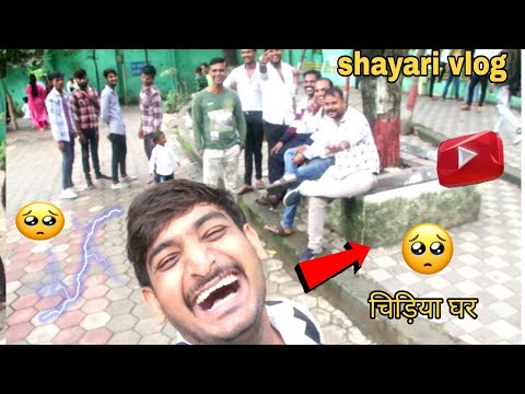 चिड़िया घर shayari vlog video|😘😘