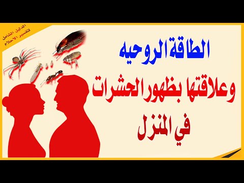 الطاقة الروحيه وعلاقتها بظهور الحشرات في المنزل