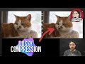 Understanding Compression Techniques