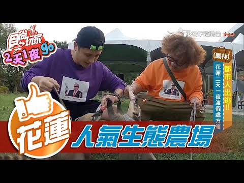 【花蓮】花蓮人氣生態農場 超可愛動物運動會【食尚玩家2天1夜go】20201209 (3/6)