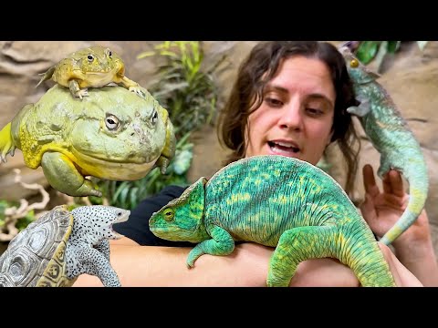 My All-Time Favorite Critters at the Reptile Zoo! 🐍🦎❤️
