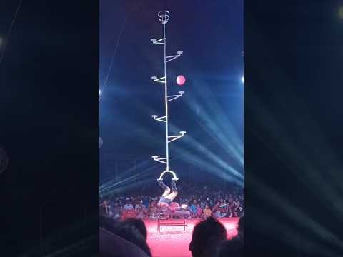 #motivation Vellore Olympian circus basketball #basketball #circus #trending #vibe #shorts