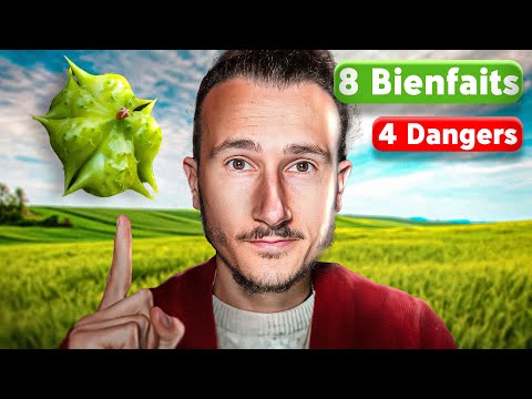 TRIBULUS : 8 Bienfaits et 4 Dangers ❌🌿