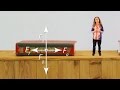 Decoding Free Body Diagrams in Physics