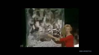 ABBA Money, money, money 1978 Program with Olivia Newton-John