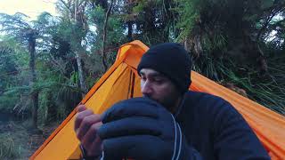 First time Camping alone in the middle of a forest, New Zealand. Hike in Kaimais
