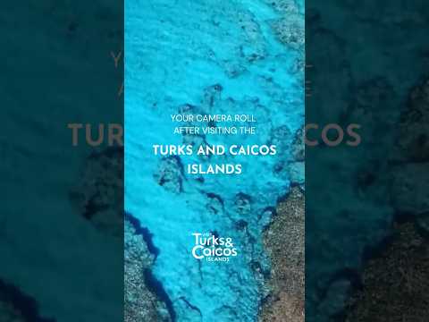 Your Camera Roll After Visiting Turks and Caicos