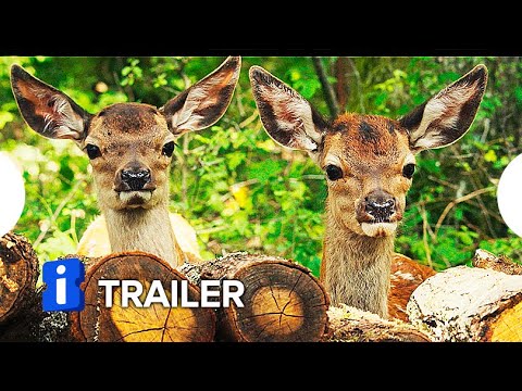 Bambi: Uma Aventura na Floresta | Trailer Dublado