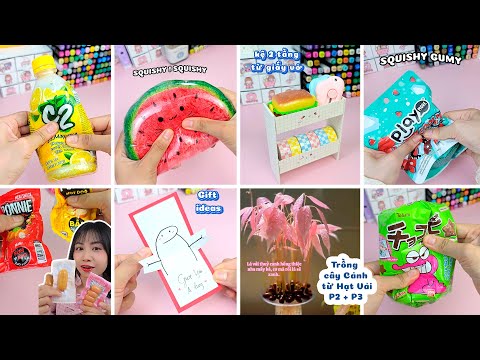 🍉🌭🌭🍾💥DIY SQUISHY🍓 Kệ Decor🎁Thiệp quà tặng🌳Trồng cây cảnh 🌟Bắt Trend TikTok 🌟Quyển Sách Nhỏ #diy