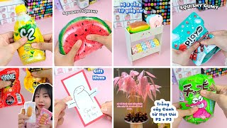 🍉🌭🌭🍾💥DIY SQUISHY🍓 Kệ Decor🎁Thiệp quà tặng🌳Trồng cây cảnh 🌟Bắt Trend TikTok 🌟Quyển Sách Nhỏ #diy