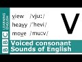 Differentiating Voiced and Voiceless Consonants