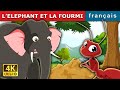Leçons de vie à travers les animaux