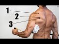 Rotator Cuff Training Concepts