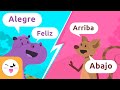 Aprendiendo Sinónimos y Antónimos