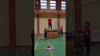 # #sports #korcavolley #volleyball