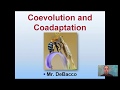 Coevolution and Adaptation Concepts