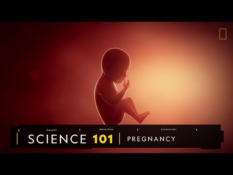101科學教室：懷孕的奧祕《國家地理》雜誌 - YouTube(3分49秒)