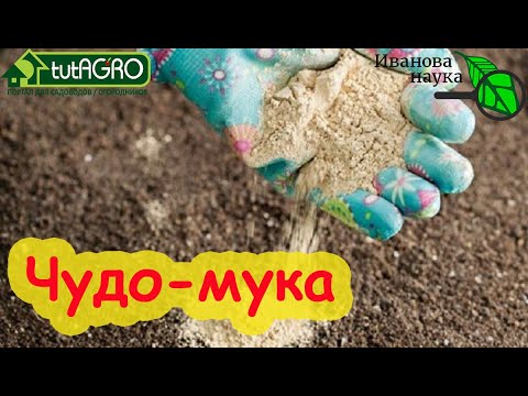 Избавьтесь от личинок майского жука прямо сейчас дешево и надежно. Без химии и препаратов.