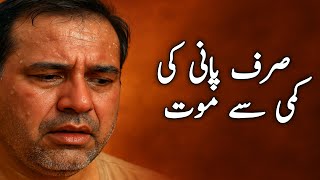 Garmi Ap Ki Jaan Le Sakti Hai! Heatwave Se Bachne Ka Tareeqa | Live Tips 🔥 #HeatAlert #LiveTips