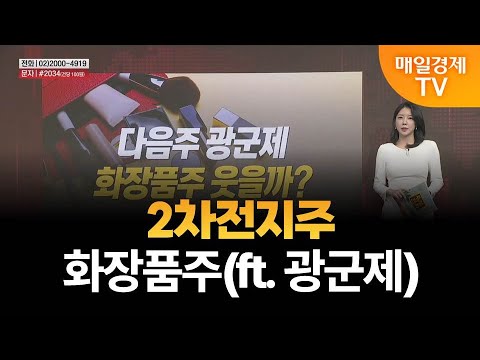 [시장 리플레이] 2차전지주 · 화장품주(ft. 광군제)