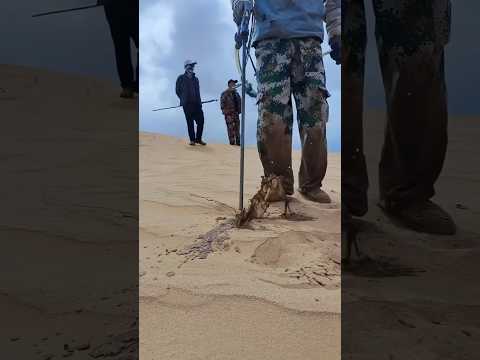 Drilling in Desert!!!