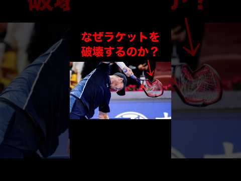 テニス選手はなぜラケットを破壊するのか？　#shorts #テニス #tennis #ラケット #ラケット破壊