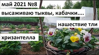 видео