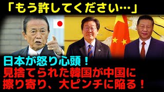 【海外の反応】「もう許してください…」日本が怒り心頭！見捨てられた韓国が中国に擦り寄り、大ピンチに陥る！日本が致命的な一撃を放った。