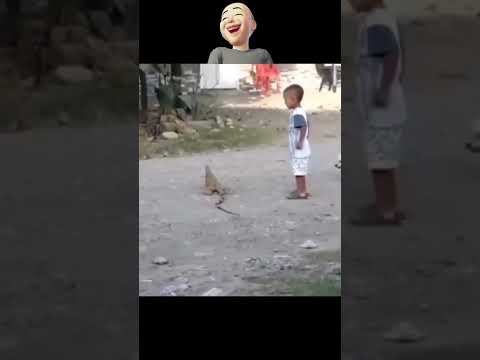 El que está quieto se deja quieto 😂😂 #viralvideo #humor #risassanas #risasymasrisas #funny #reels