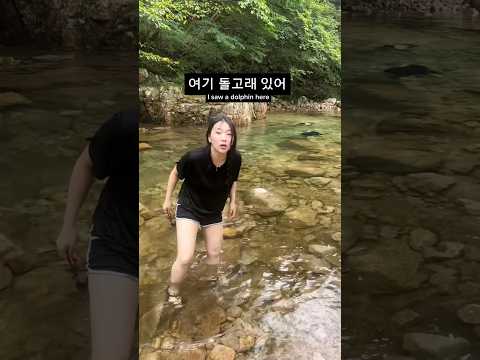 아쿠아리움 갈 필요가 없는 이유