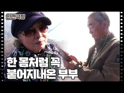 [종현 씨 감나무에 봉이 열렸네] (14/15) [인간극장/Screening Humanity] | KBS 241220 방송