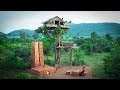 [ Video Full ] Building A Tree house 12m, Swimming Pool And Grape Wine[1]