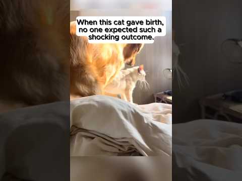 When this cat gave birth no one expected such a shocking outcome.#story #foryou #truestory