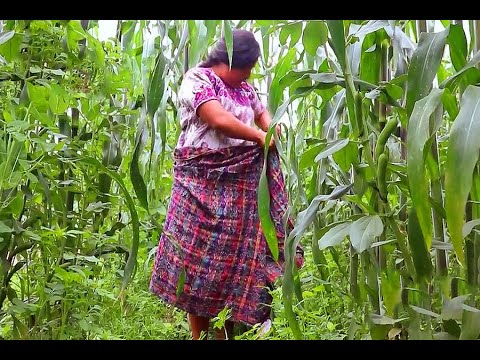 La Hermana Se ENTREGABA a El PASTOR...Por Interés.