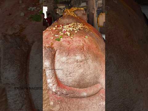 యాగంటి దేవాలయంపై కాకులు తిరగవని శాపం ఉంది