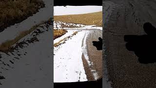 Nieve en el Parque Nacional Nevado de Toluca