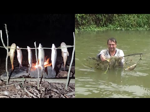 Acampamento na beirada do rio, foi triste ver esse ato de covardia