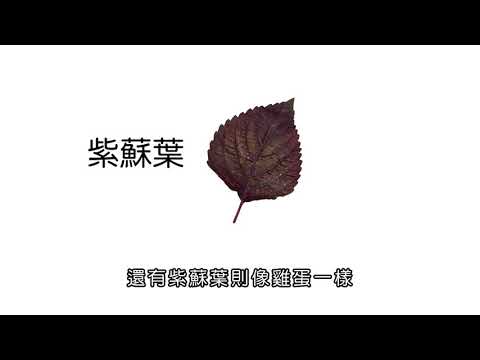 葉形葉緣葉脈 - YouTube