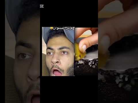 ميمز #اعتني #اكسبلور #لقط #اهميه #دويتو #fortnite #ضحك #rocketleague #قصص #funny